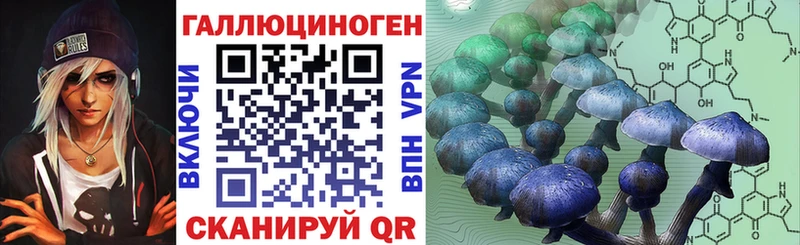 сколько стоит  Абакан  Псилоцибиновые грибы MAGIC MUSHROOMS 
