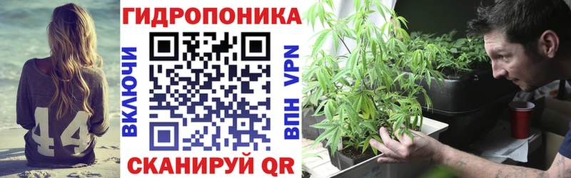 Канабис индика  Абакан 